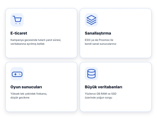 Fiziksel sunucunun e-ticaret, sanallaştırma, oyun sunucusu ve büyük veritabanı kullanım alanlarını gösteren dört kart