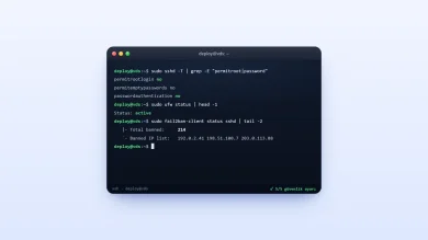 Yeni kiralanan VDS sunucu için güvenlik ayarları