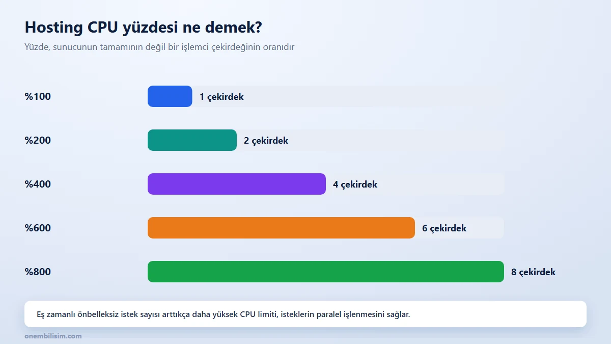 Hosting paketlerinde CPU yüzdesinin işlemci çekirdeği karşılığı: yüzde 100, 200, 400, 600 ve 800