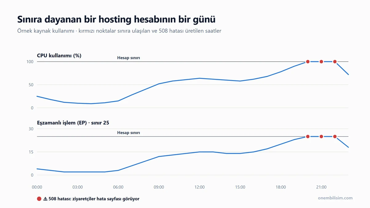 Paylaşımlı hostingde kaynak kullanımı grafiği: CPU ve eşzamanlı işlem sınırına ulaşıldığında oluşan 508 hataları